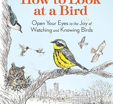 How to Look at a Bird: Open Your Eyes to the Joy of Watching and Knowing Birds For Sale