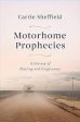 Motorhome Prophecies: A Journey of Healing and Forgiveness Sale