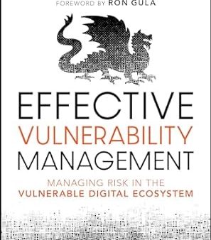 Effective Vulnerability Management: Managing Risk In The Vulnerable Digital Ecosystem For Sale