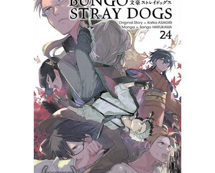 Bungo Stray Dogs 24 For Discount