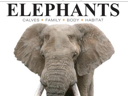 Elephants (Mini Encyclopedia) on Sale