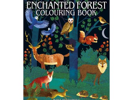 Enchanted Forest Colouring Book For Cheap